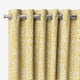 ColorizedZoom 1593