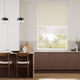 Colorized Electric Atom Toffee Double Roller Blind 2413