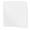 ColorizedSwatch 3443