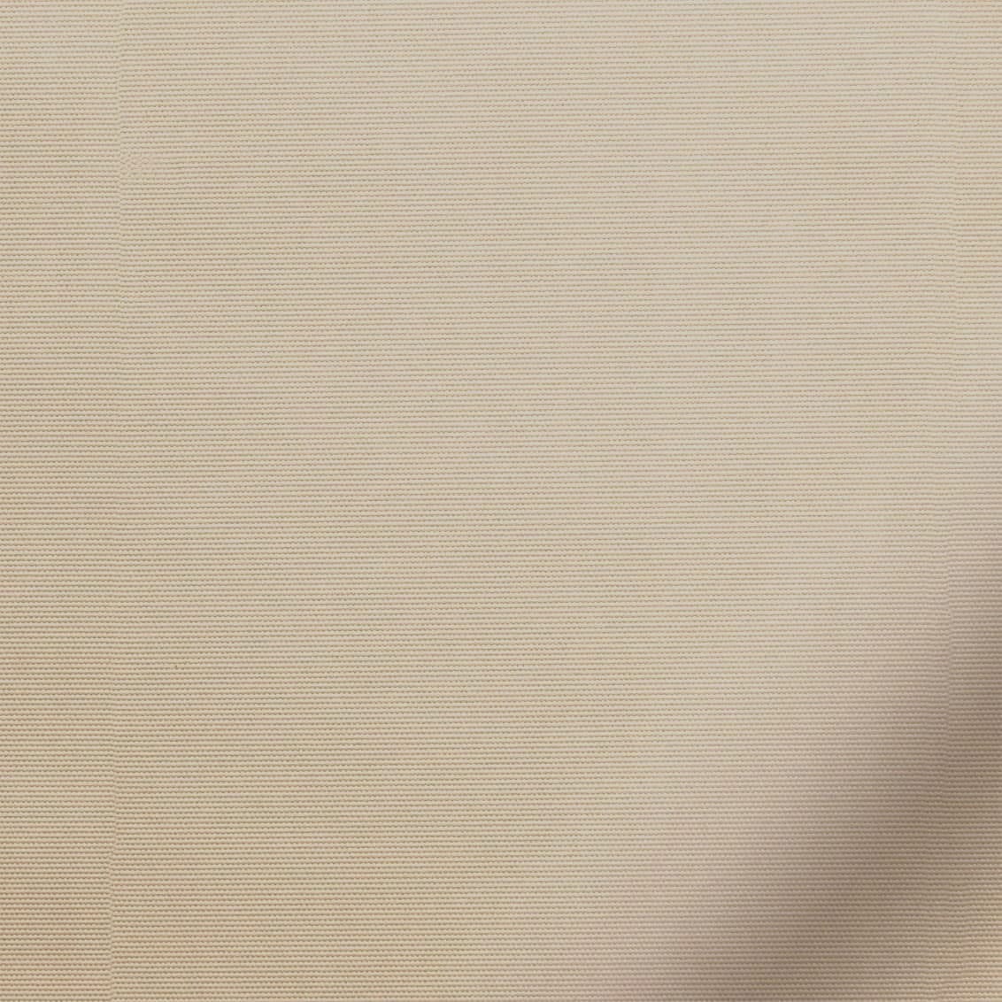 ColorizedZoom 3581