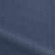 ColorizedZoom 4209