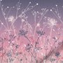 ColorizedZoom 4388