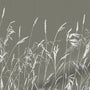 ColorizedZoom 4740