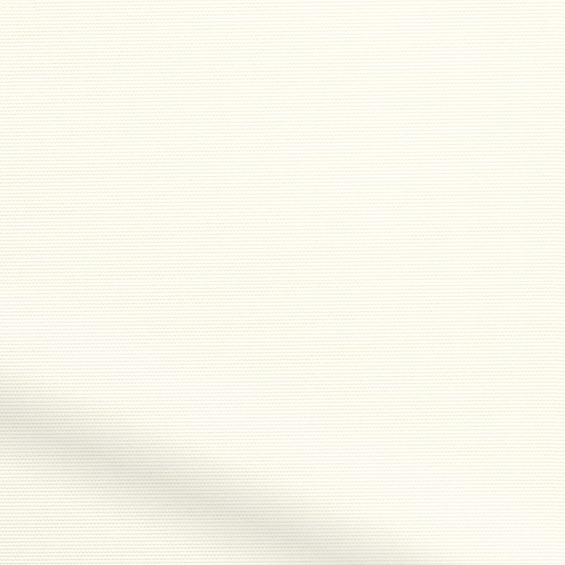 ColorizedZoom 4950