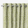 ColorizedZoom 5810