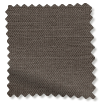 ColorizedSwatch 
