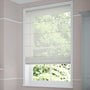 ColorizedZoom  1646
