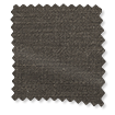 ColorizedSwatch 