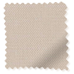 ColorizedSwatch 