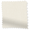 ColorizedSwatch 