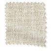 ColorizedSwatch 