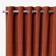 ColorizedZoom  1559