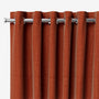 ColorizedZoom  1559