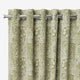 ColorizedZoom  1594