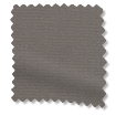 ColorizedSwatch 