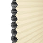 ColorizedPLA DuoShade Top Down/Bottom Up Cornsilk  Thermal Blind 2725