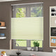 ColorizedZoom  8905
