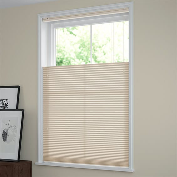 ColorizedZoom DuoLight Top Down/Bottom Up Almond Thermal Blind 2735