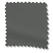 ColorizedSwatch  2897