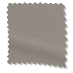 ColorizedSwatch  447