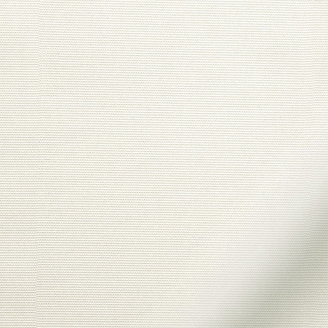 ColorizedZoom  3590