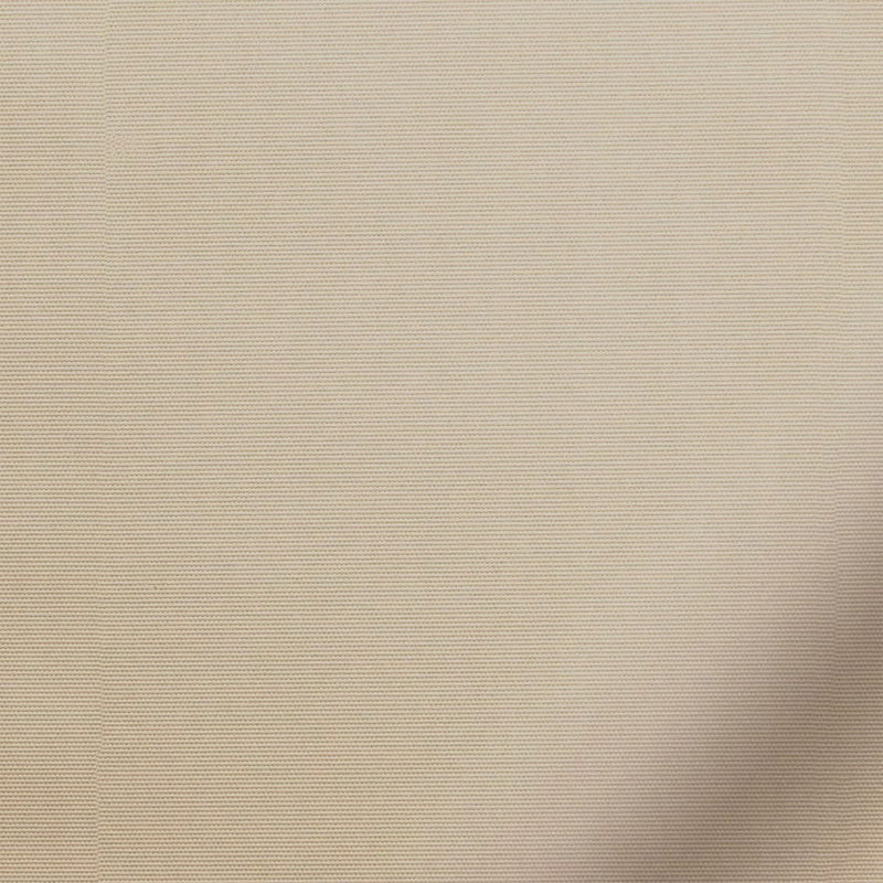 ColorizedZoom  3581