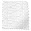 ColorizedSwatch 