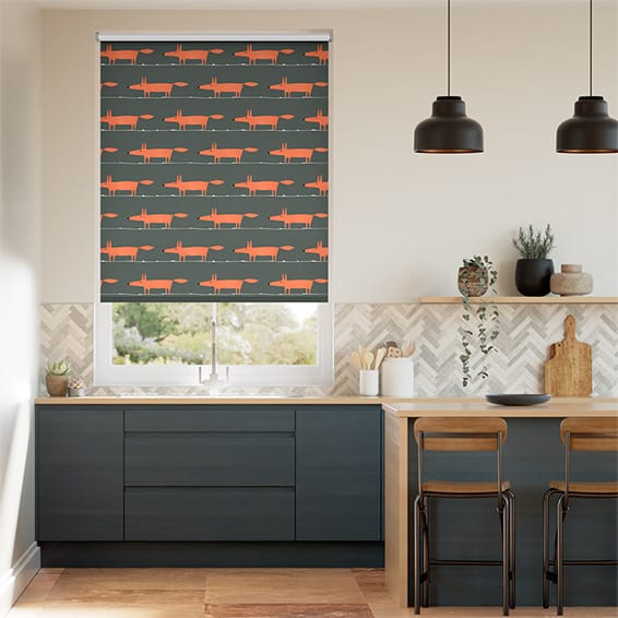 Colorized Mr Fox Charcoal Roller Blind 4002