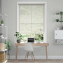 Colorized  4214