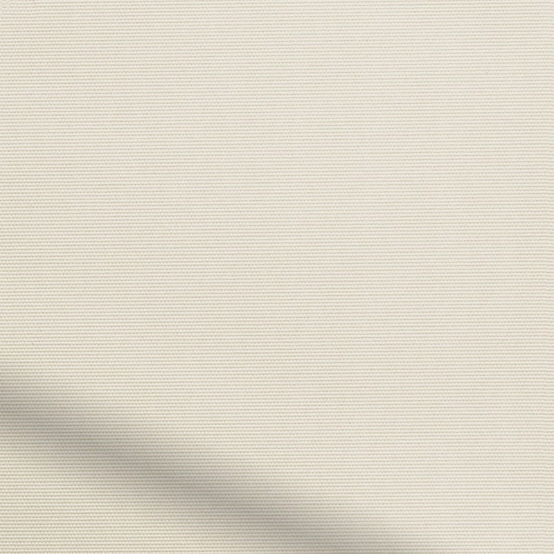 ColorizedZoom  4267