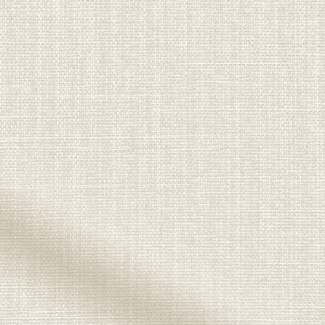 ColorizedZoom  4309