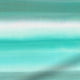 ColorizedZoom  4416
