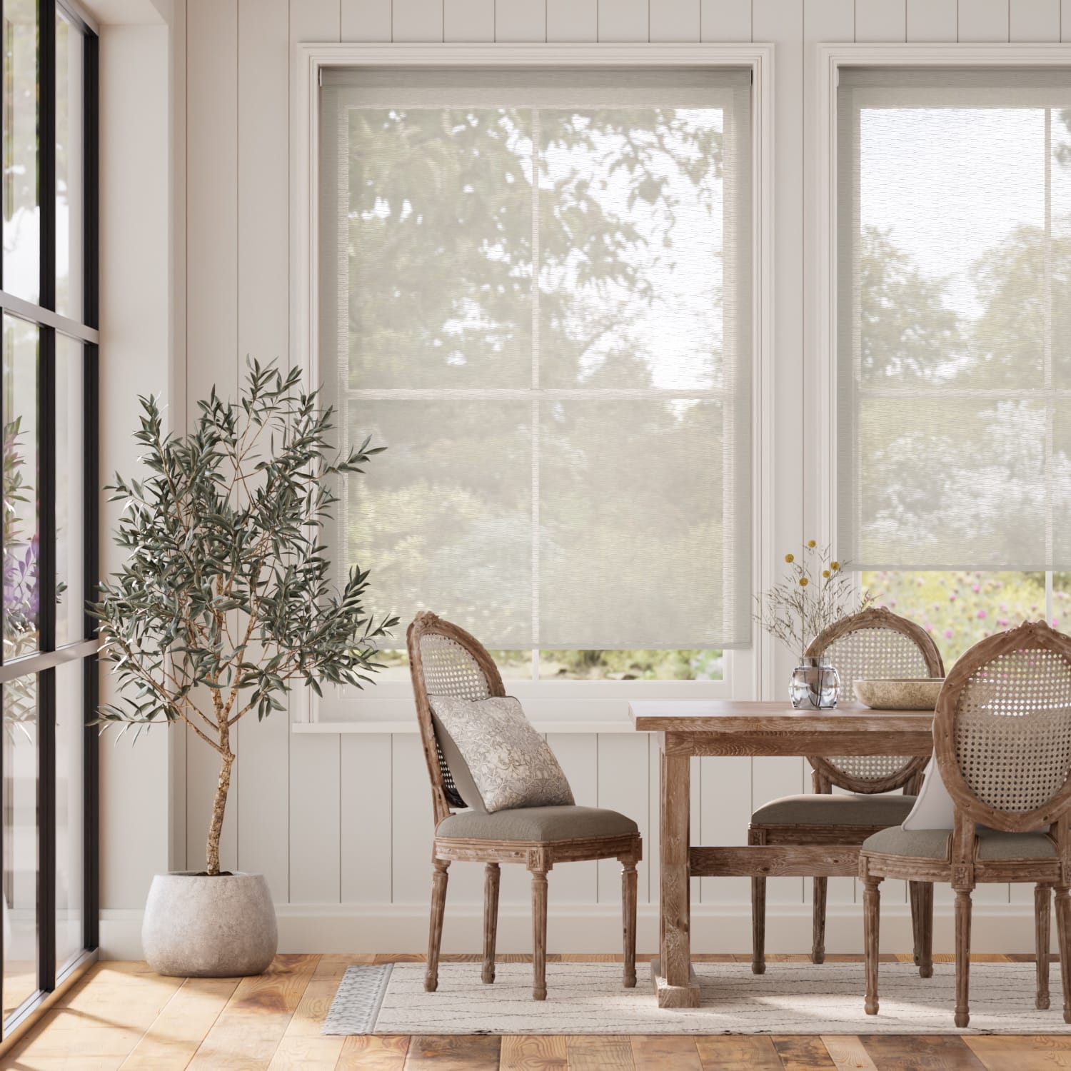 Colorized Electric Oriel Voile Ash Roller Blind 4849