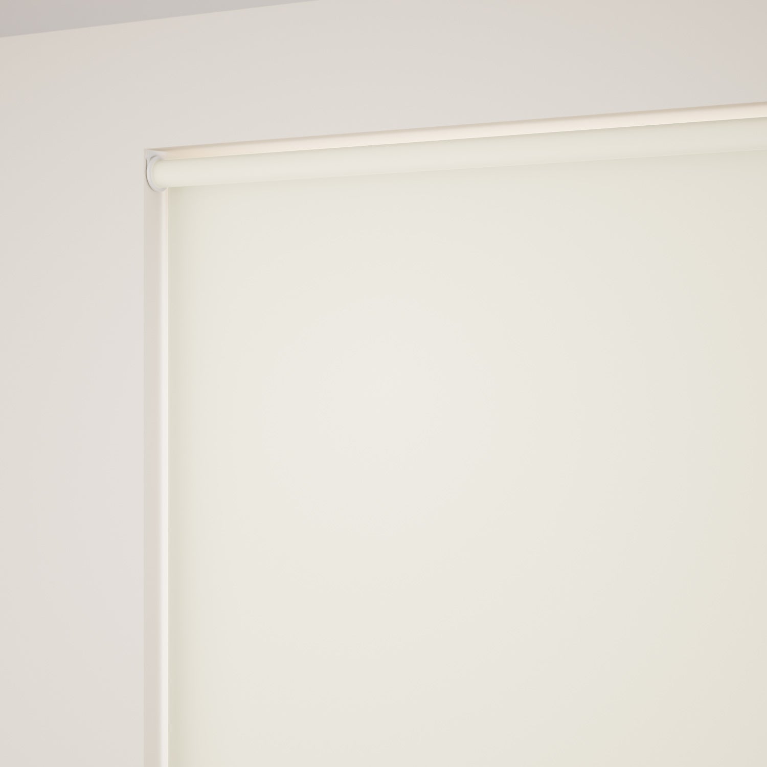 ColorizedZoom  4937