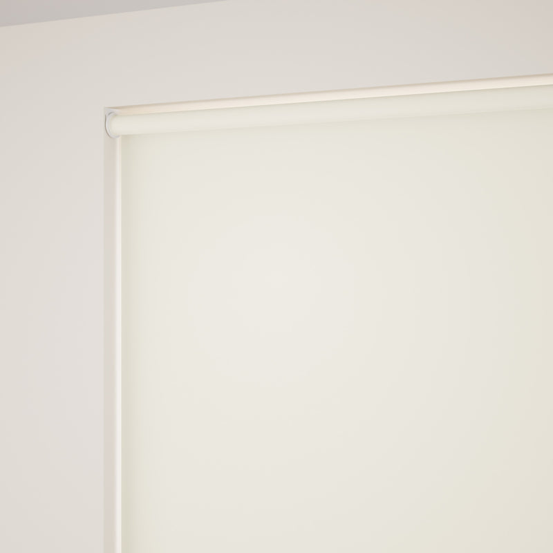 ColorizedZoom  4937