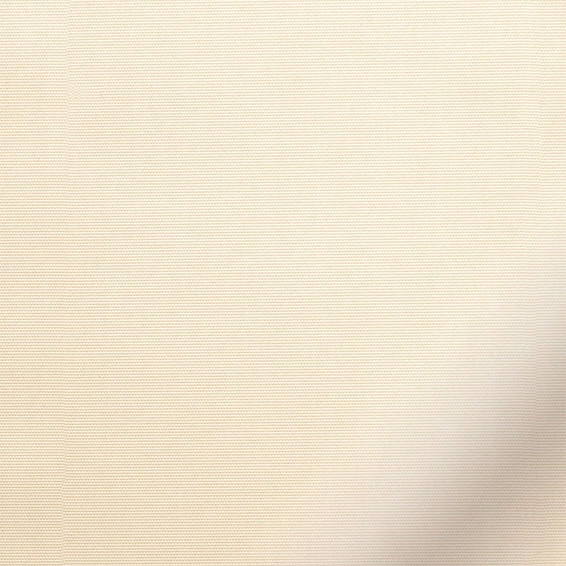 ColorizedZoom  4942