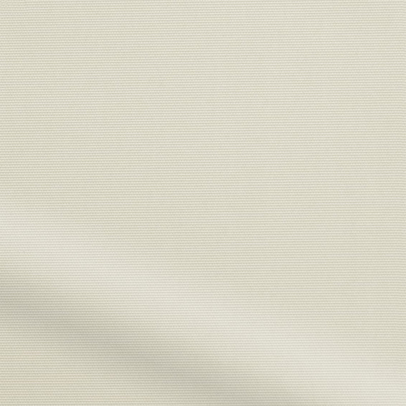 ColorizedZoom  4949