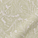 ColorizedZoom  4991