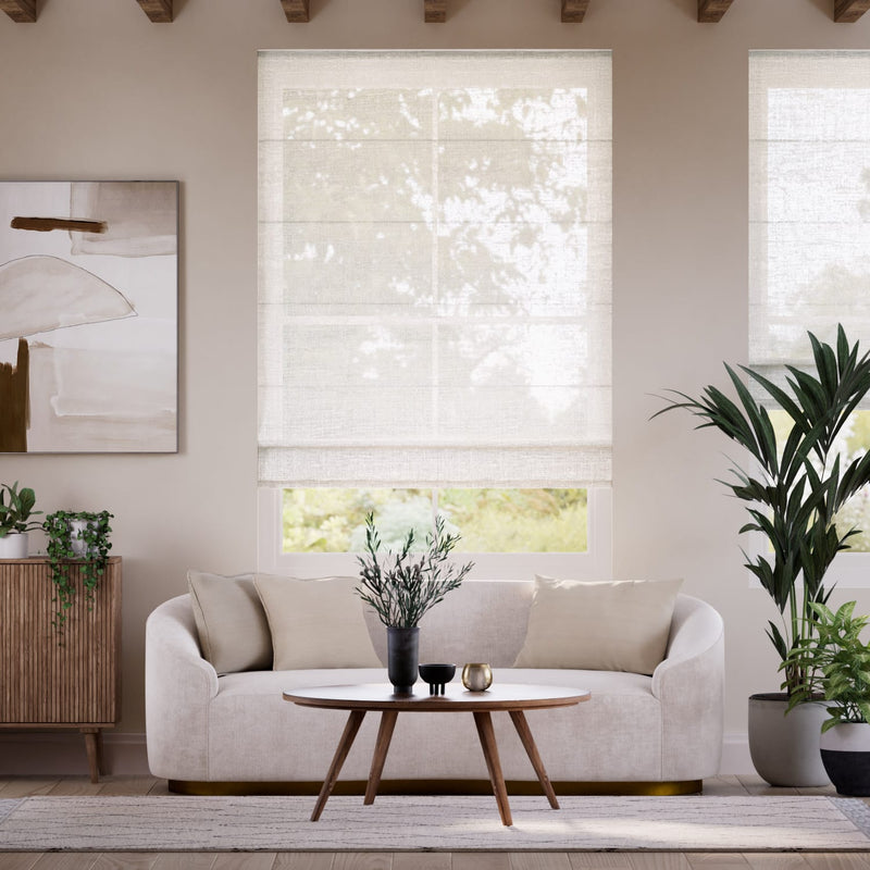Colorized Ionian Voile Cloud White Roman Blind 6866