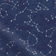 ColorizedPLA Galaxy Sky Denim  Curtains 6221
