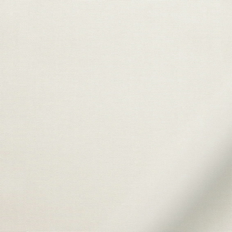 ColorizedZoom  8214