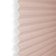 ColorizedZoom  8404