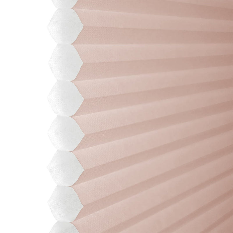 ColorizedZoom  8404