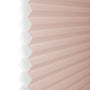 ColorizedZoom  8404