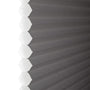 ColorizedZoom  8409
