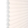 ColorizedZoom  8415