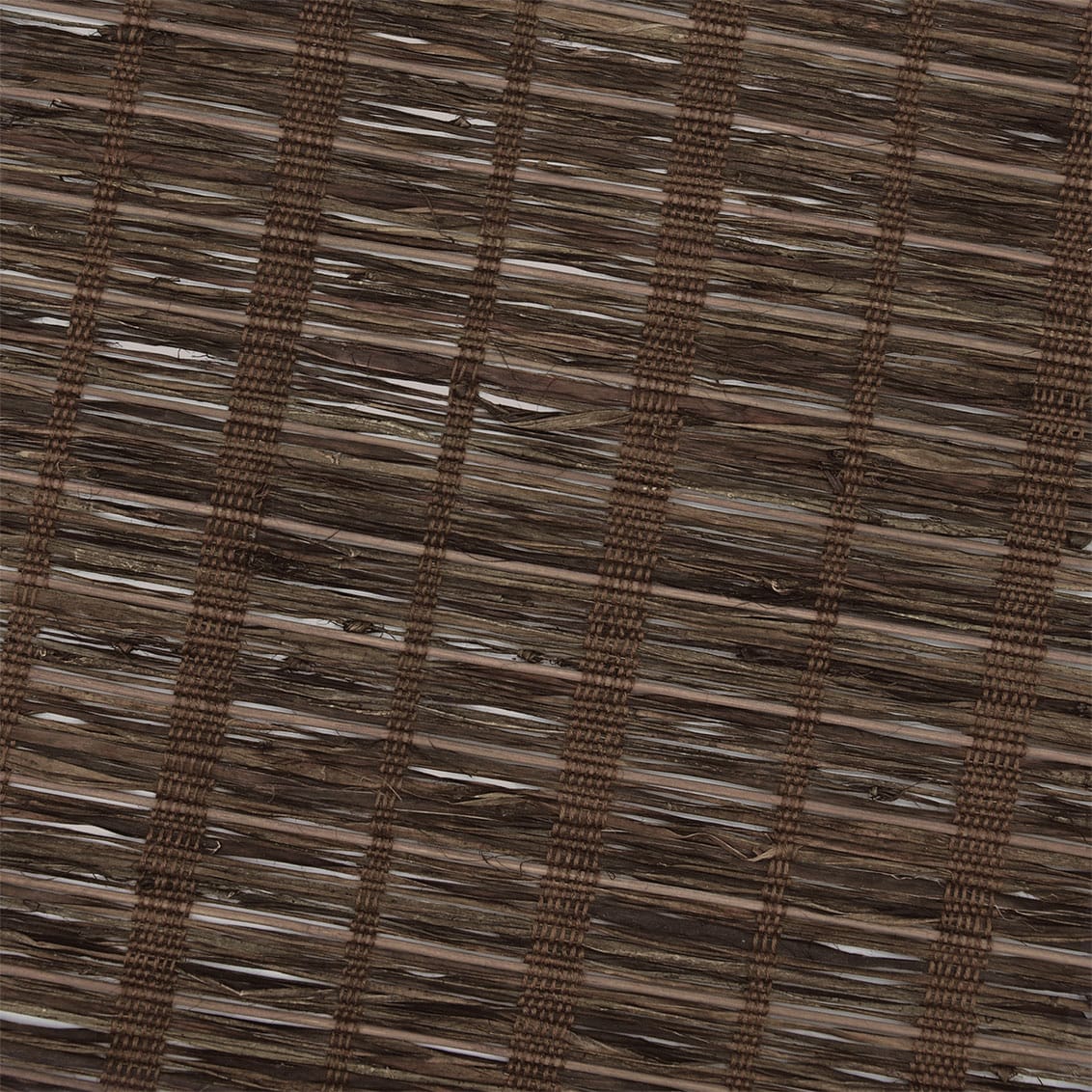 ColorizedZoom  8719