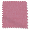 ColorizedSwatch  12
