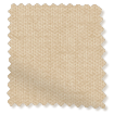 ColorizedSwatch  178