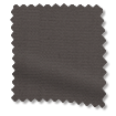 ColorizedSwatch  195
